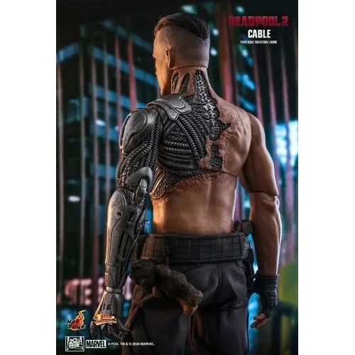 1:6 Deadpool 2 - Cable Nathan Summers Figure MMS583 Hot Toys