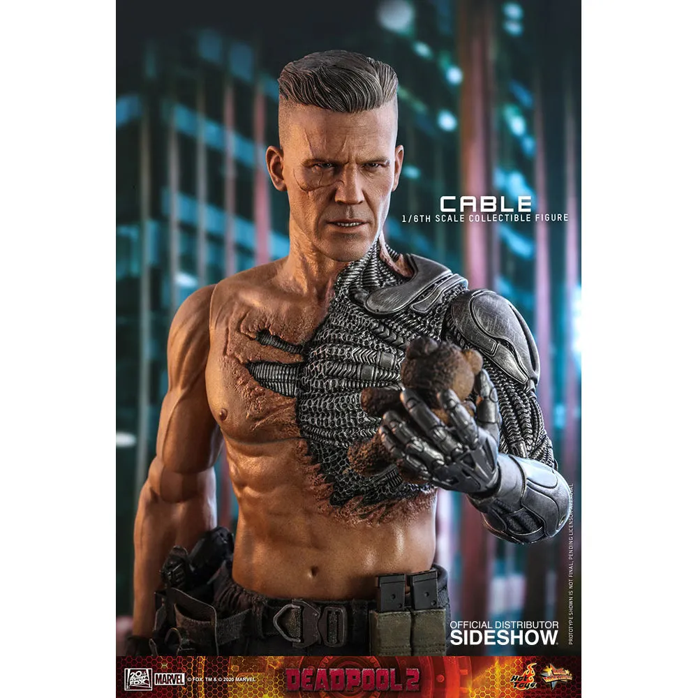 Hot Toys Marvel Deadpool Cable Collector's Edition 1/6 Scale Action Figure